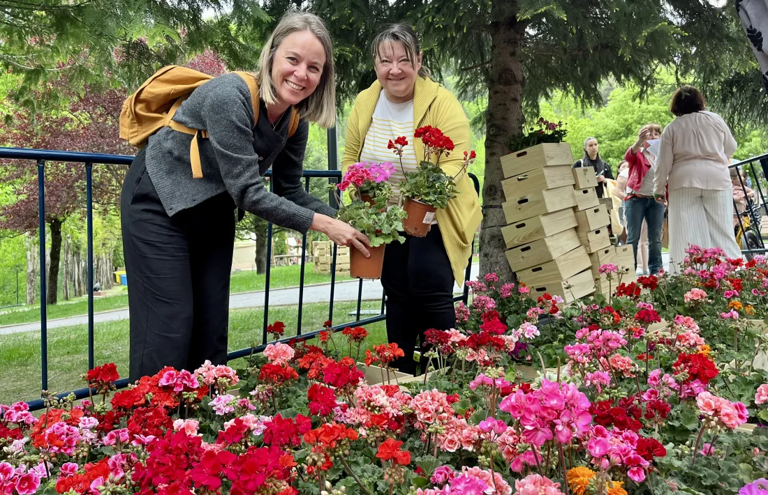 Els geranis han estat els grans protagonistes del mercat de la flor.