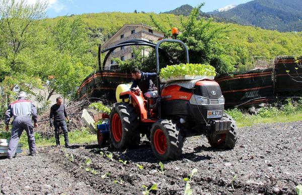 tabac tractor