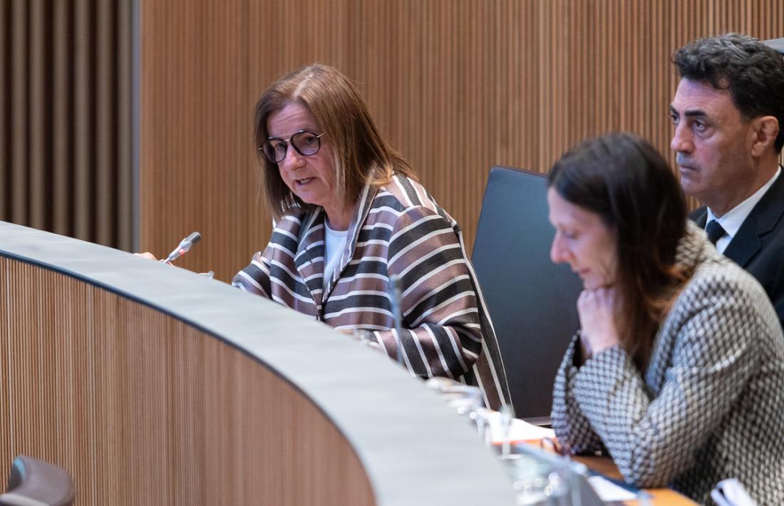La ministra d'Afers Socials i Funció Pública, Trini Marín, durant la darrera sessió del Consell General.