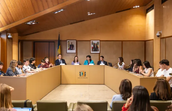 consell adolescents