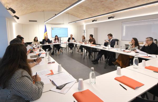 consell nacional per la llengua