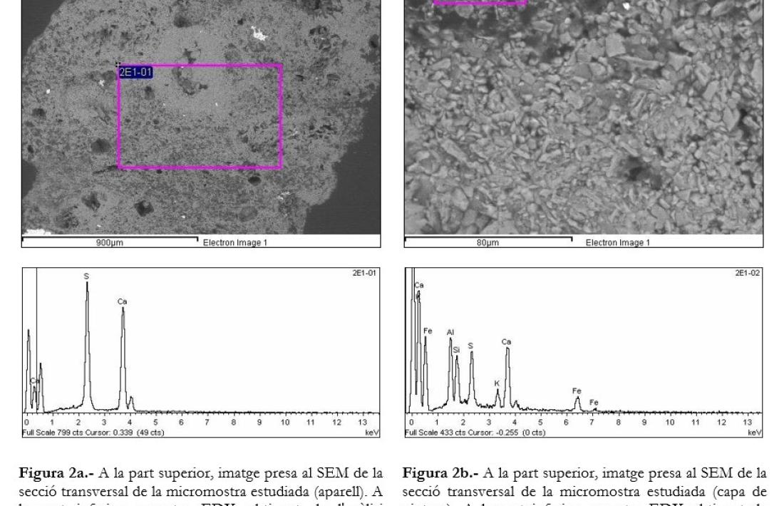 Imatge presa al SEM i microanàlisi d’una micromostra corresponent a la túnica vermella del Crsit en estuc.