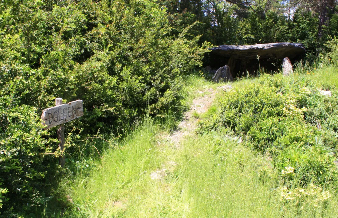 El Camina Pirineus és un dels projectes més ambiciosos executats pel CCAU els últims anys. 
