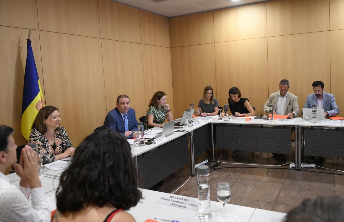 La reunió de la comissió nacional de la infància i adolescència d'aquest matí.