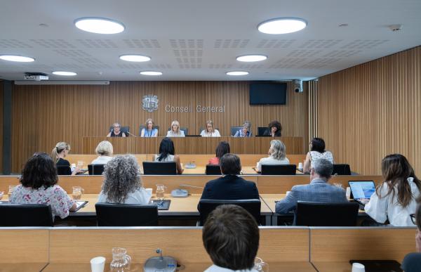 p. 06 2 xarxa dones parlamentaries _consell general