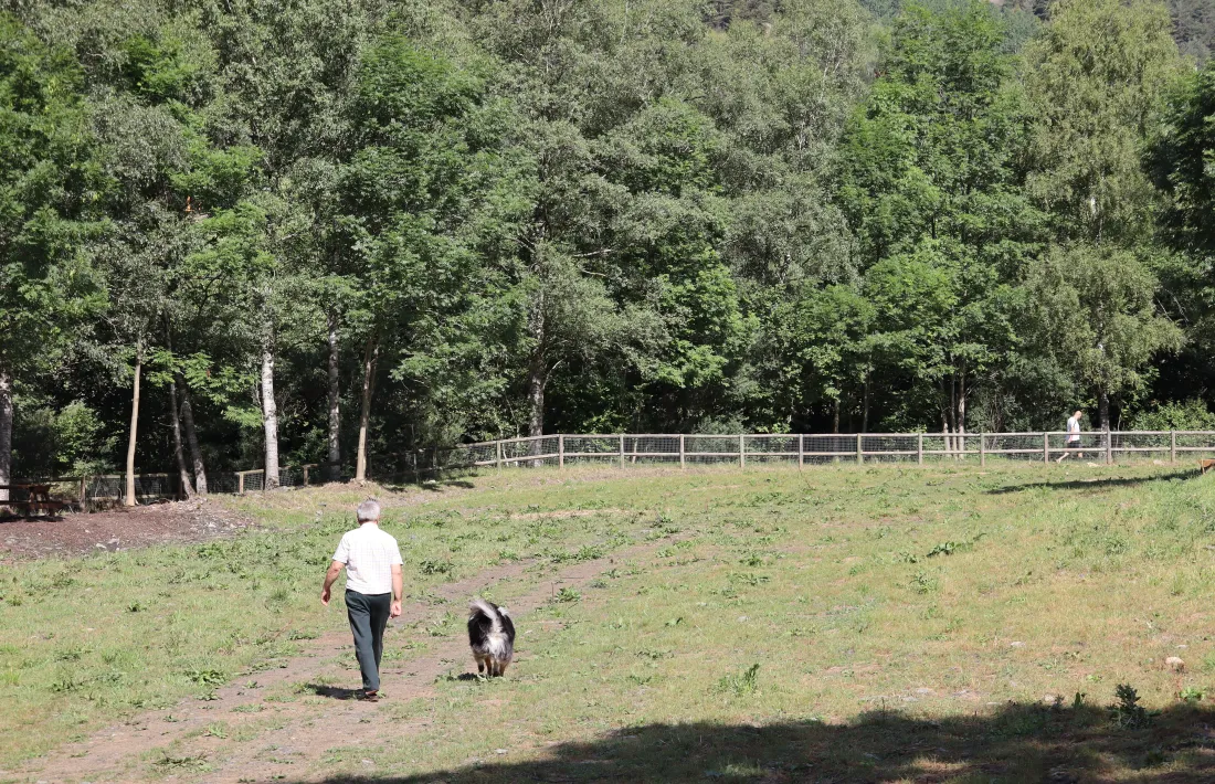 Una persona amb el seu gos passejant pel parc caní.
