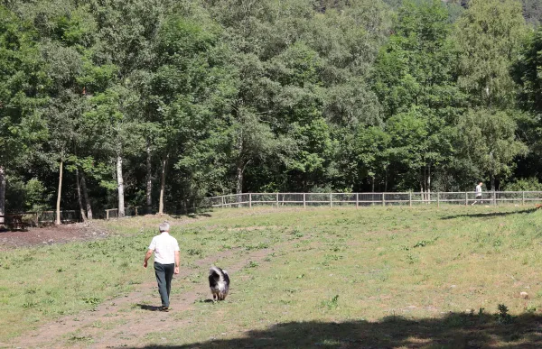 parc cani