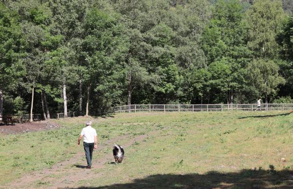 parc cani