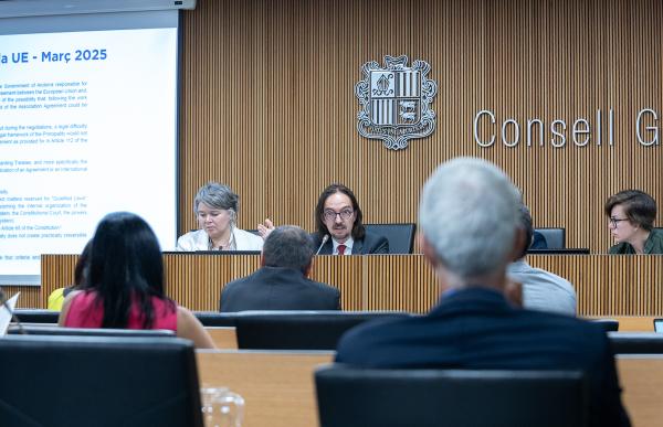 p. 04 compareixença riba comissio consell general