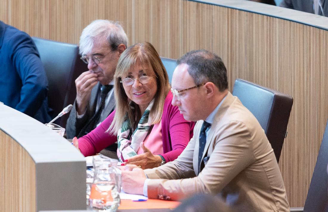 Marsol respon a les preguntes dels consellers generals de l’oposició.