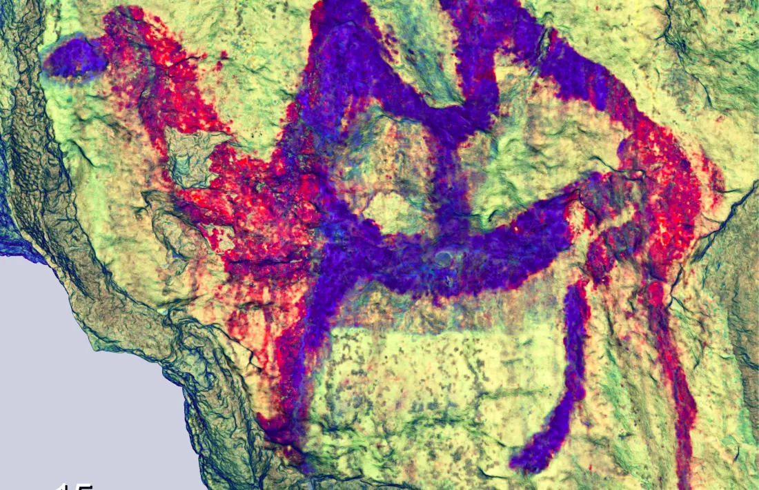  Detall de la pintura, amb el cap, les potes i els dos geps característics.