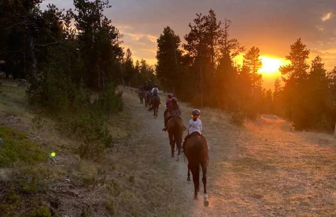 Una de les activitats que es pot fer aquest estiu a Naturland.
