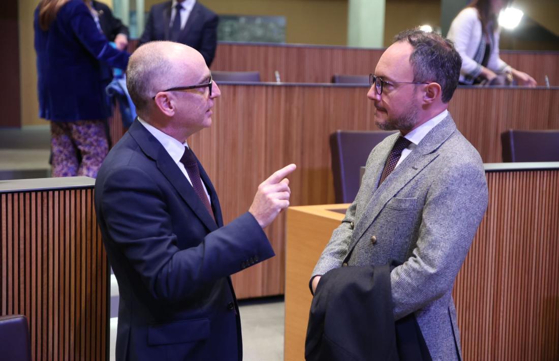 Lladós i Espot al Consell General.