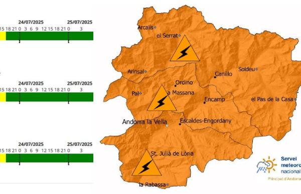 avis taronja