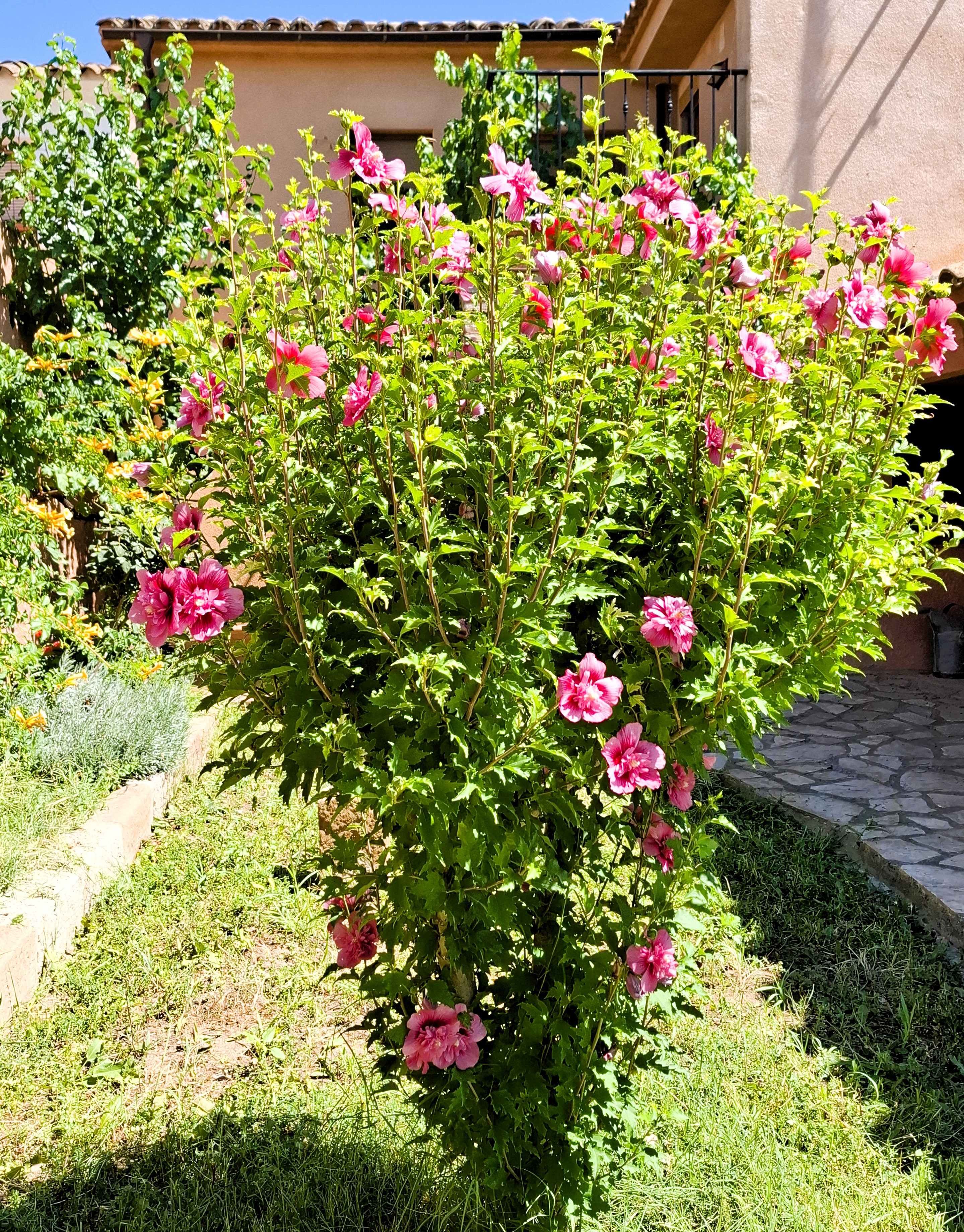 p. 15 opi peruga