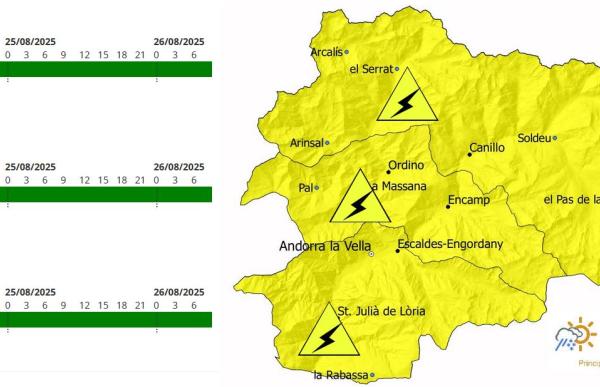 avis groc avui