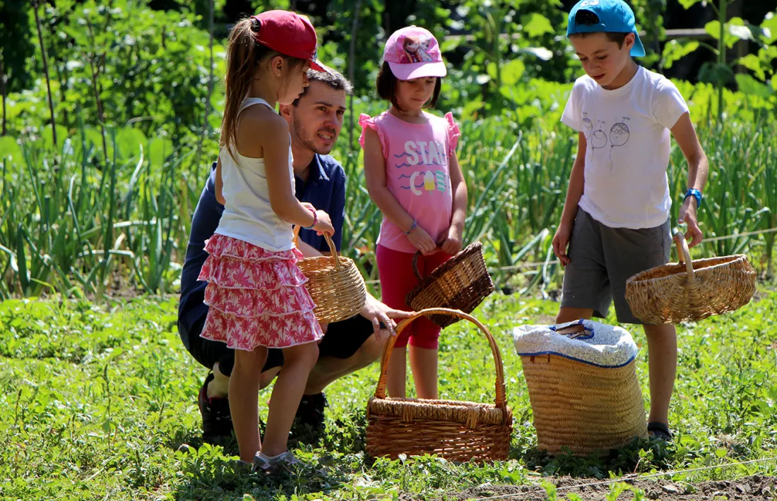 Els infants d'Ordino porten a taula els productes de l'Hort de la ludoscola