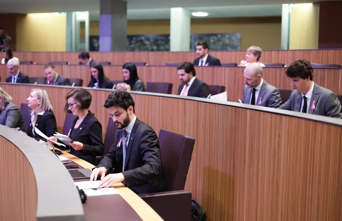 Els consellers de l'oposició al Consell General.
