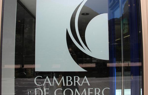 cambra avui