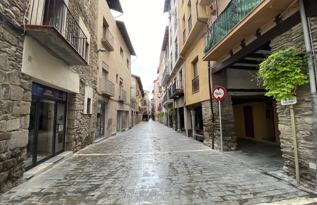 Carrer Canonges. 
