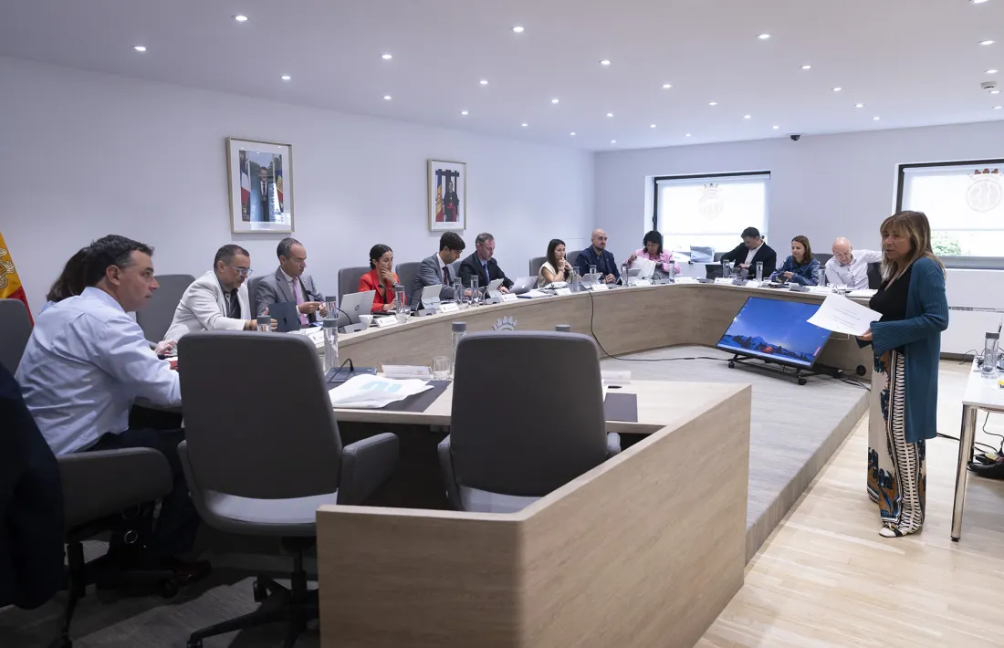 La ministra d'Economia, Conxita Marsol, exposant la proposta a la reunió de cònsols d'aquest matí.