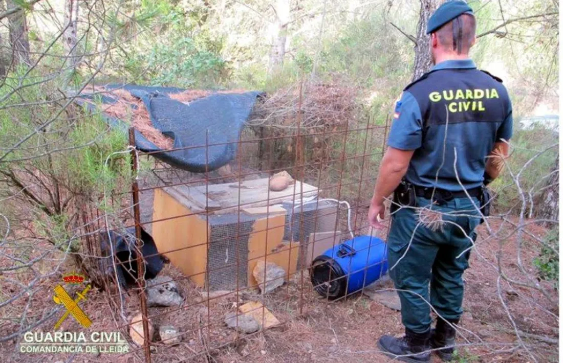 Denunciat un resident per posar gàbies parany en un espai natural de la Noguera