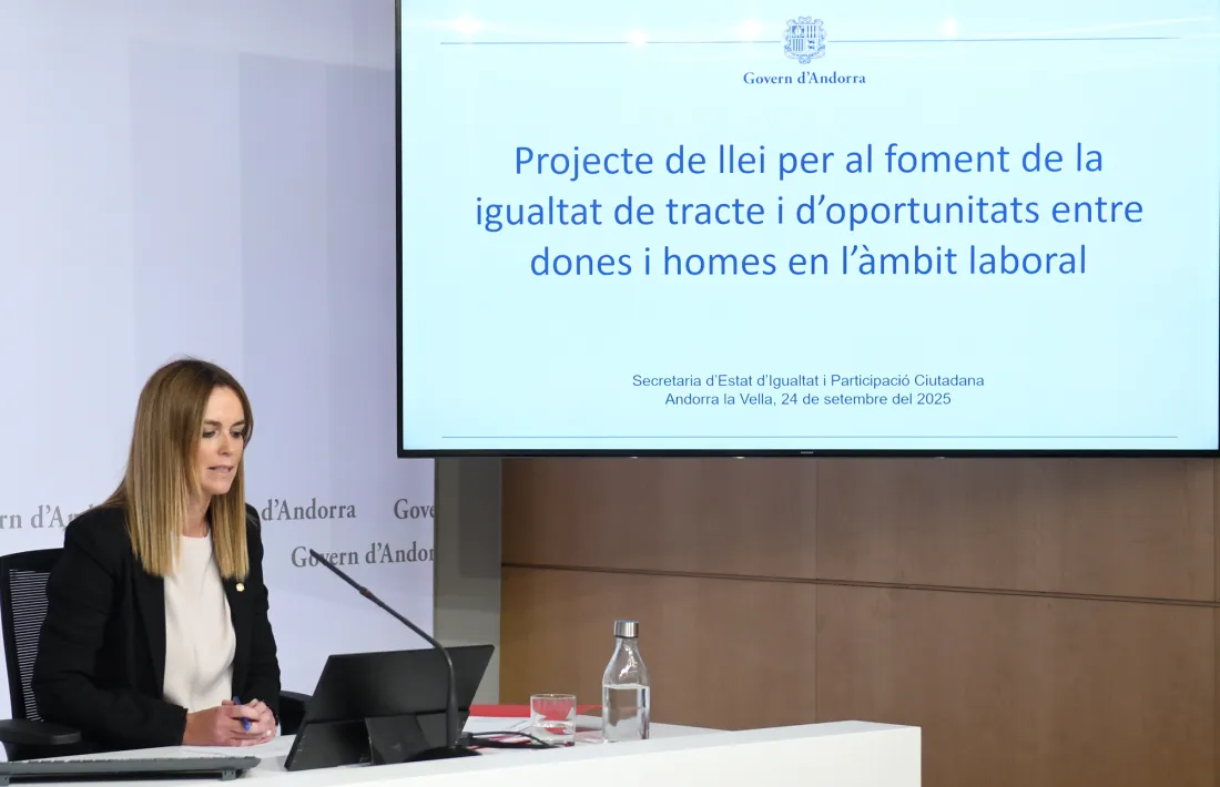 Mariona Cadena presentant el Projecte de llei per al permís de naixement igualitari.