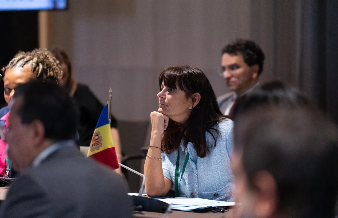 Bonell a la Conferència Iberoamericana de ministres.