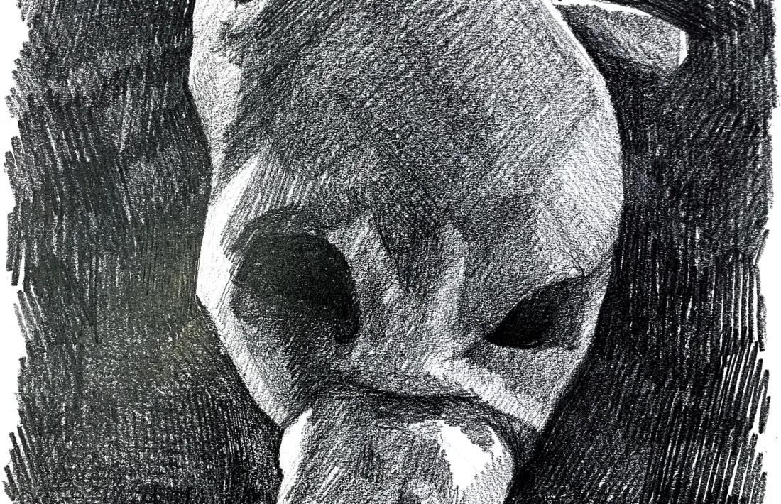 Recreació de la màscara original de L'última Ossa d'Ordino que il·lustra la portada del llibre.