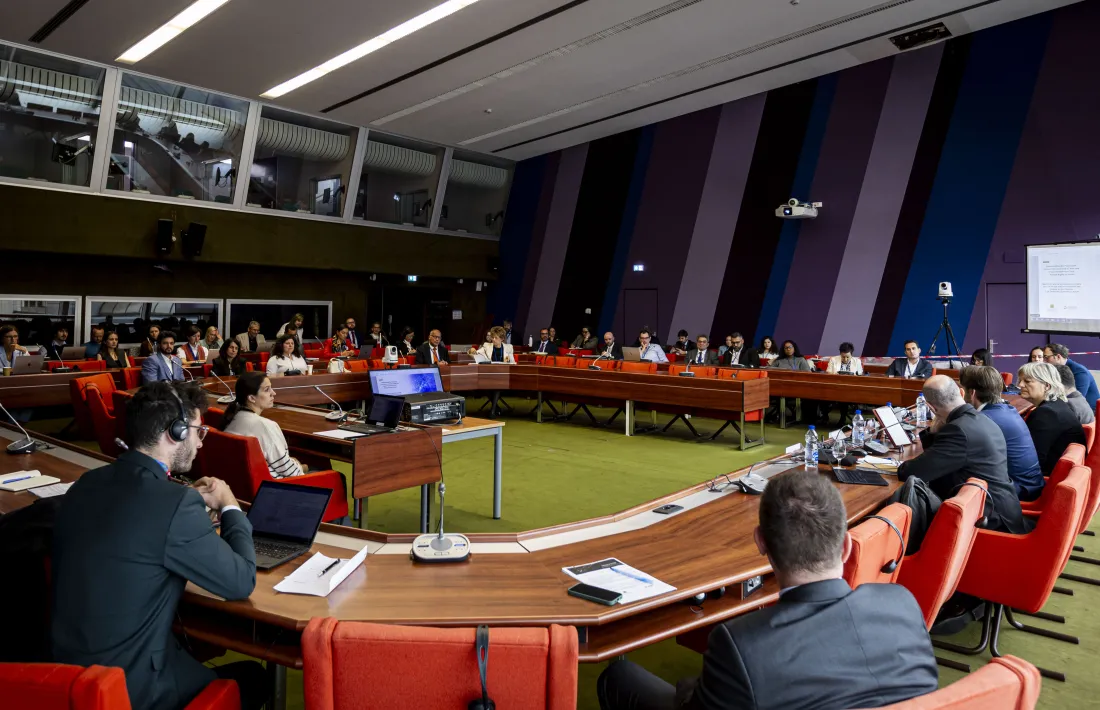 n moment de la taula rodona impulsada per la delegació andorrana a l'APCE. 