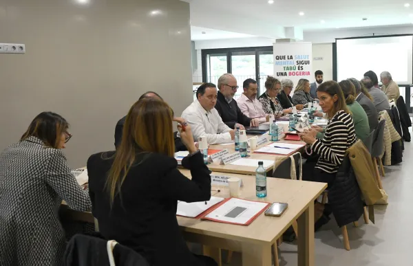 p. 08 taula salut mental SFGA