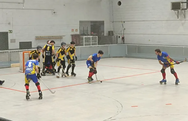 p. 29 andorra hc vs mataro foto andorra hc