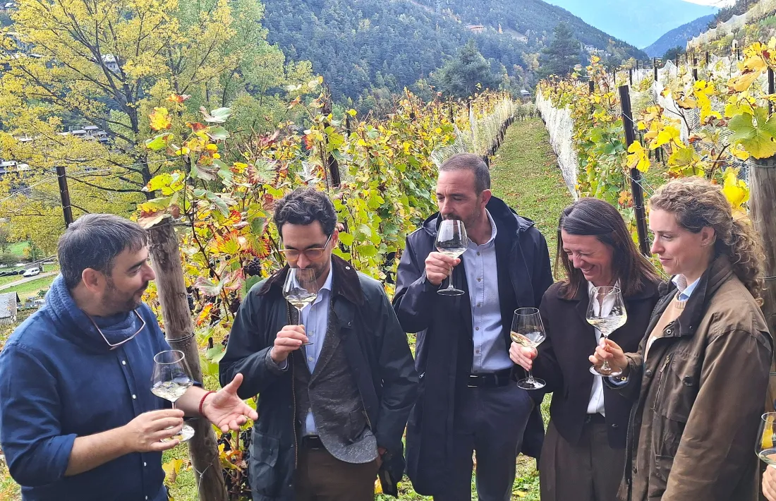 La finca Any de la Part té capacitat de produir fins a 15.000 quilograms de raïm.