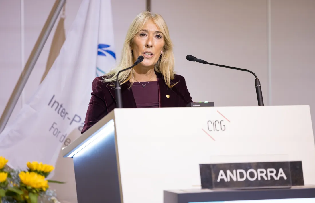 La subsíndica general, Sandra Codina, durant la seva intervenció a Ginebra.  