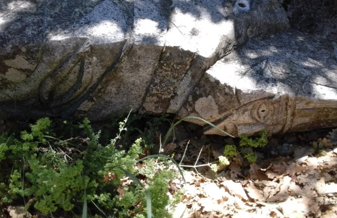 La peça reflecteix l’estat en què Olm s’ha trobat al llarg del temps algunes de les escultures a les quals va dedicar una vida. 