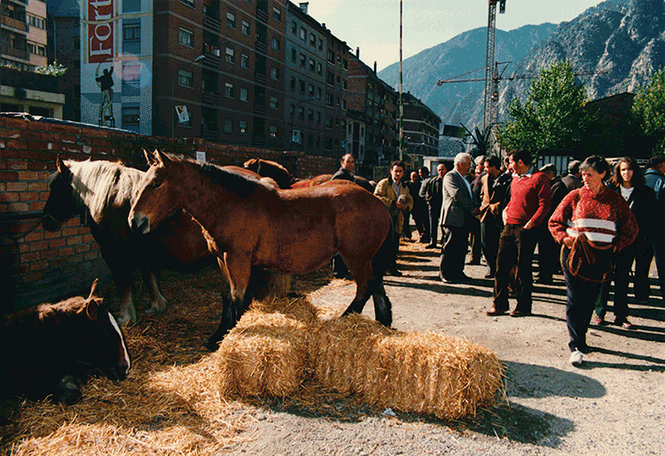 317-Fira-Bestiar-1992_ACALV