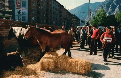 317-Fira-Bestiar-1992_ACALV