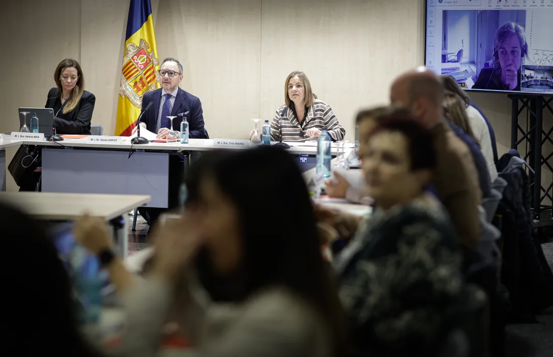 La reunió de la Conadis va tenir lloc ahir al matí.