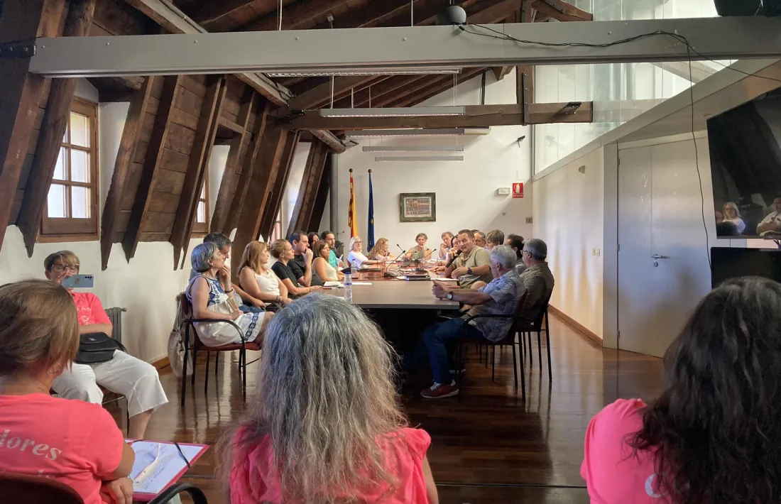 El servei d'atenció domiciliària és una patata calenta en mans del CCAU.