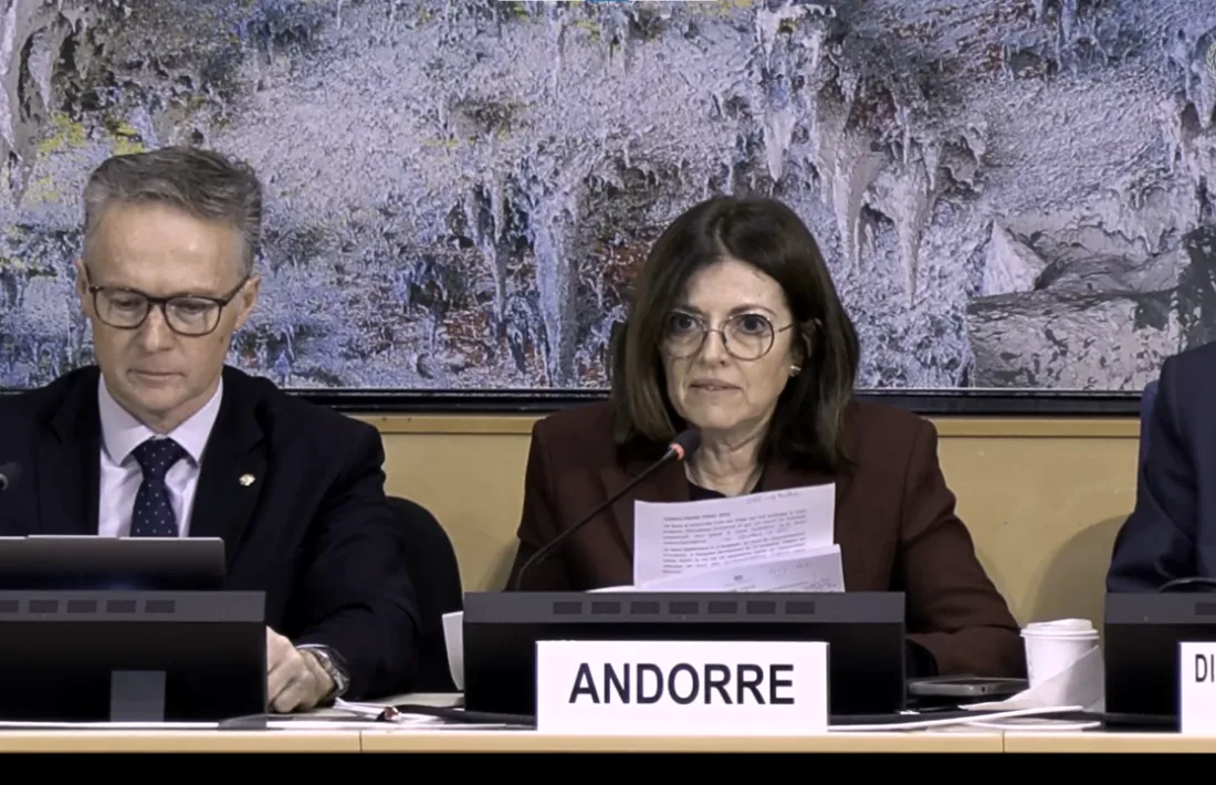 Un moment de la intervenció de Tor a l'ONU aquest matí.