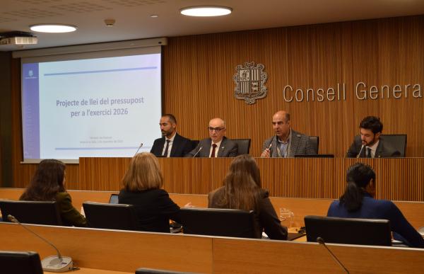 p. 07 compareixenca llados consell general x pressupost ag