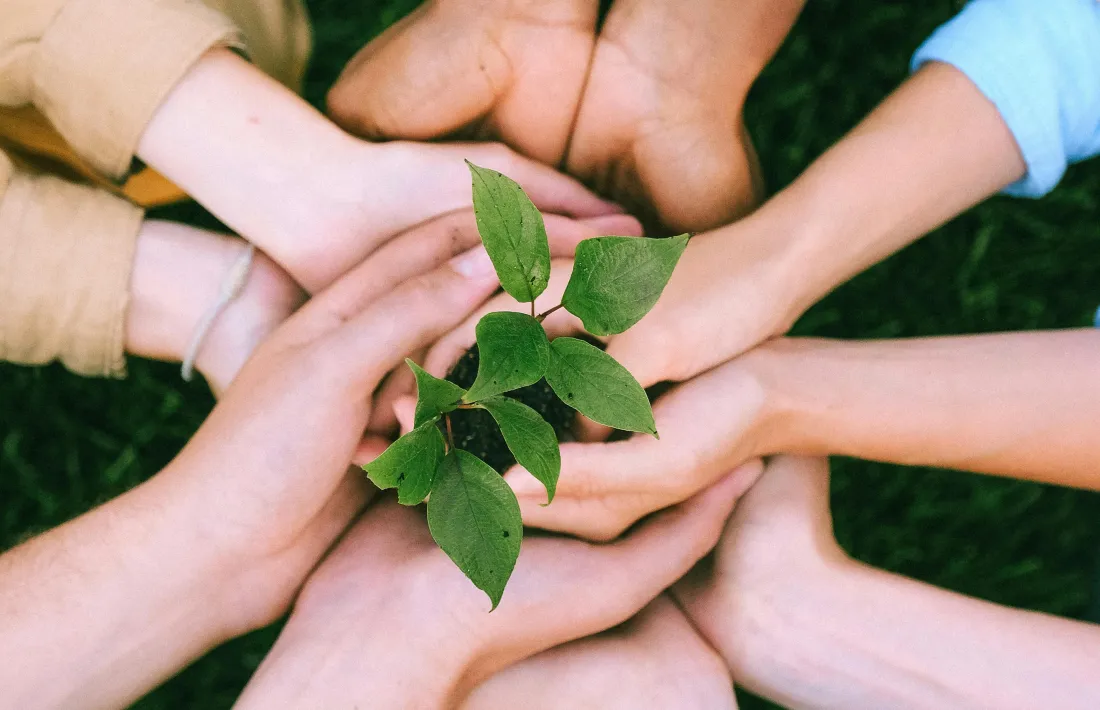 La jornada sobre el voluntariat tindrà lloc aquest dissabte 8 de novembre.