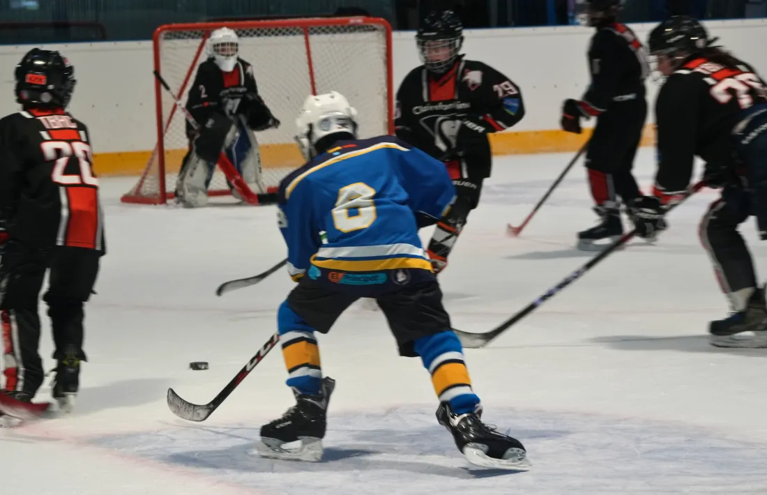 El Torneig U11, al Palau de Gel.