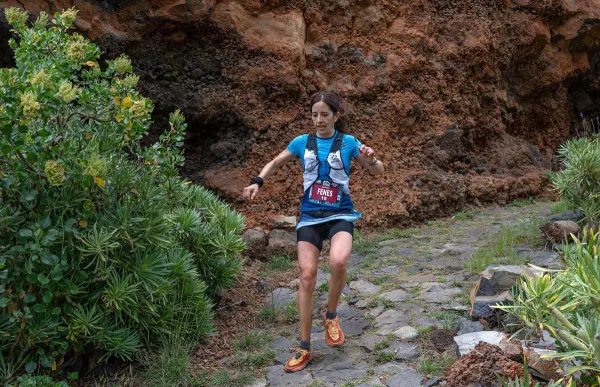 p. 29 ari fenes foto fam