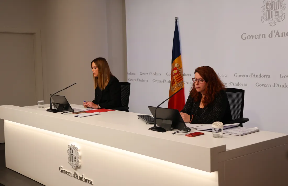 A la presentació del protocol van descriure quins tipus d’assetjament hi ha i com detectar-los.