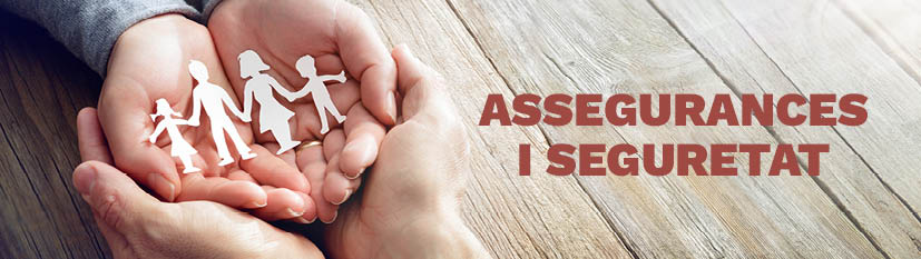 WEB_banner_Assegurances