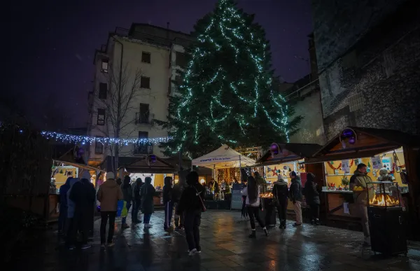 20241207 Fira Santa Llucia dissabte tarda @ComuEncamp (13)