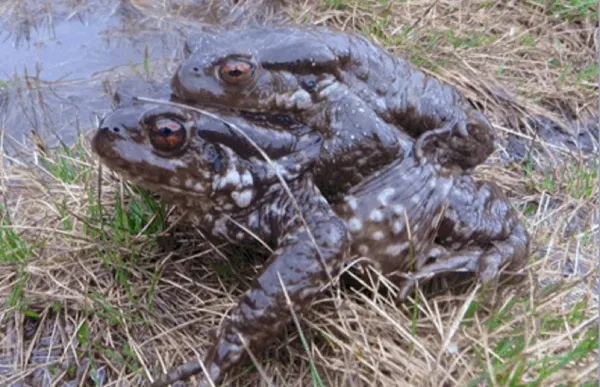 WhatsApp Image 2025-11-27 at 13.04.10