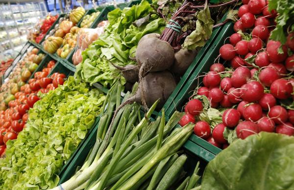 alimentació---bondia