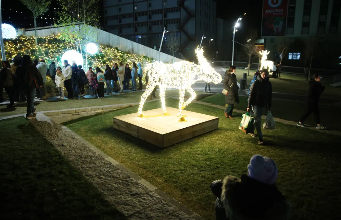 Per primera vegada el Parc de l’Ossa és testimoni de l’encesa de llums encampadana.